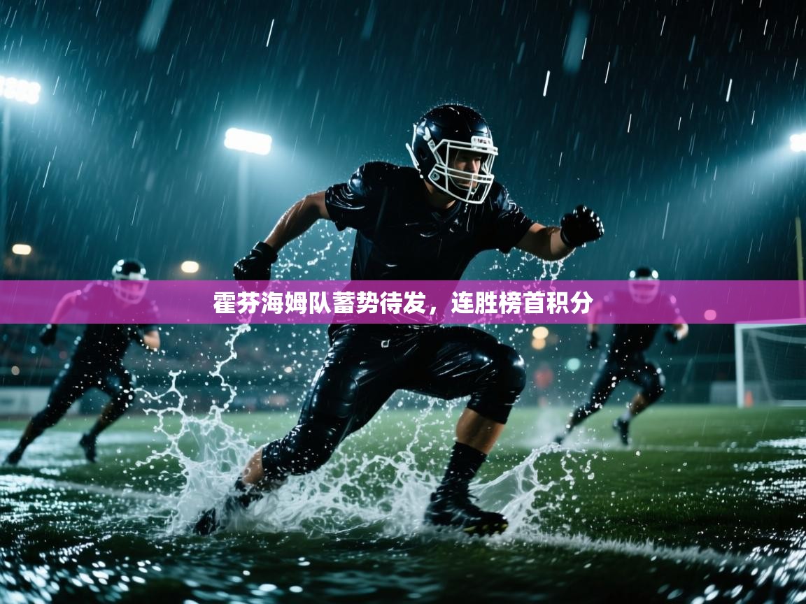 霍芬海姆队蓄势待发，连胜榜首积分  第1张