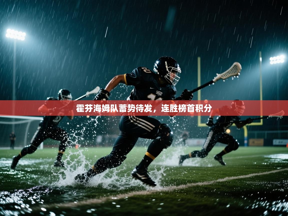 霍芬海姆队蓄势待发，连胜榜首积分  第2张