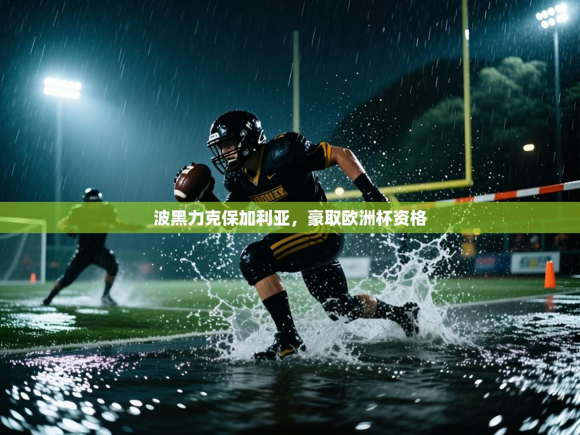波黑力克保加利亚，豪取欧洲杯资格  第2张
