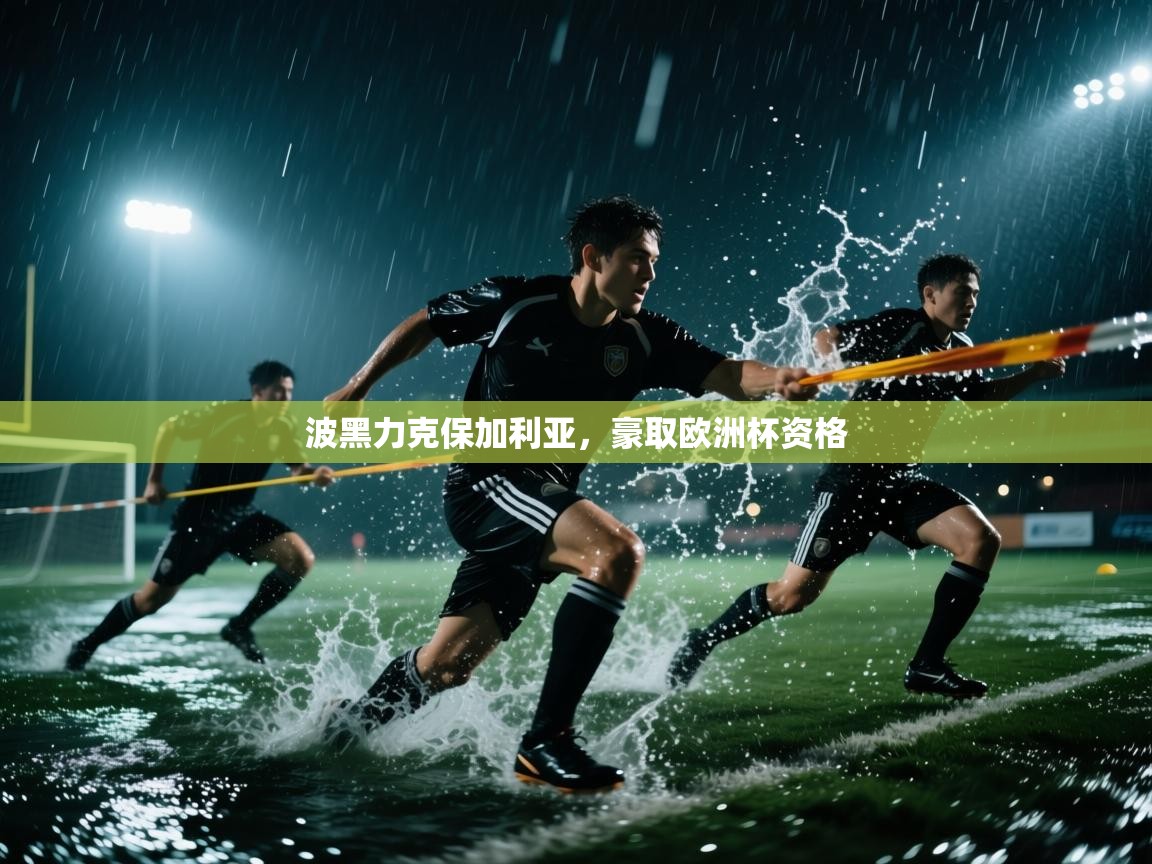 波黑力克保加利亚，豪取欧洲杯资格  第1张