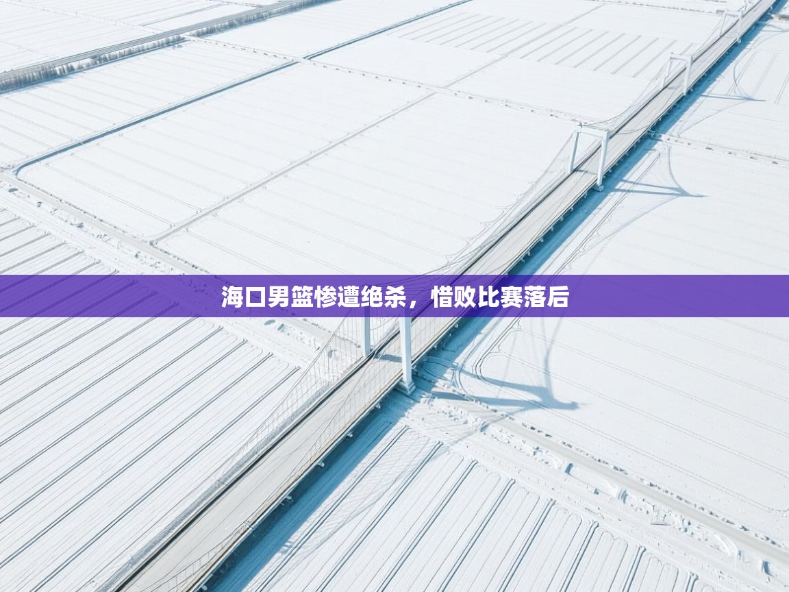 海口男篮惨遭绝杀，惜败比赛落后  第1张