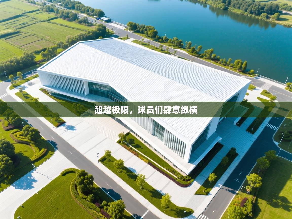 超越极限，球员们肆意纵横  第2张