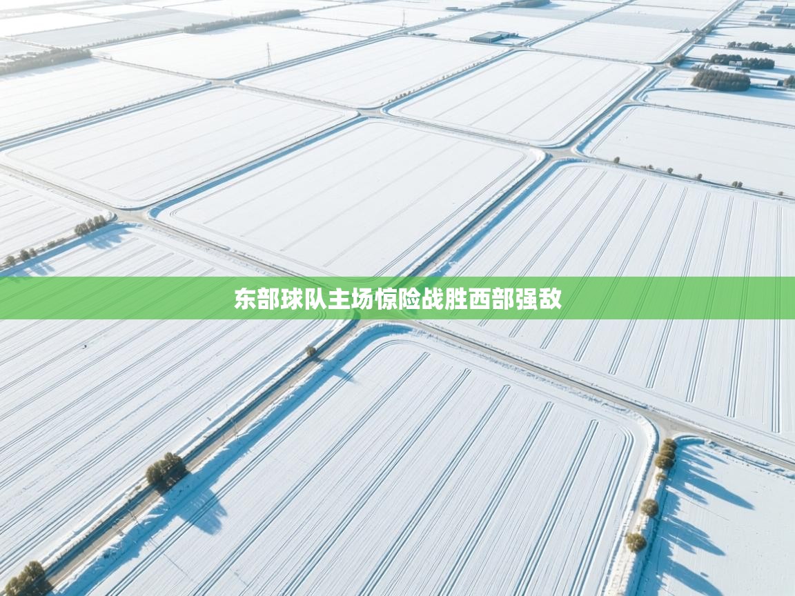 东部球队主场惊险战胜西部强敌 第2张