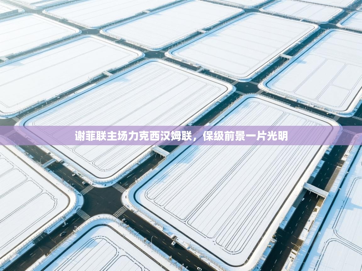 谢菲联主场力克西汉姆联，保级前景一片光明  第1张