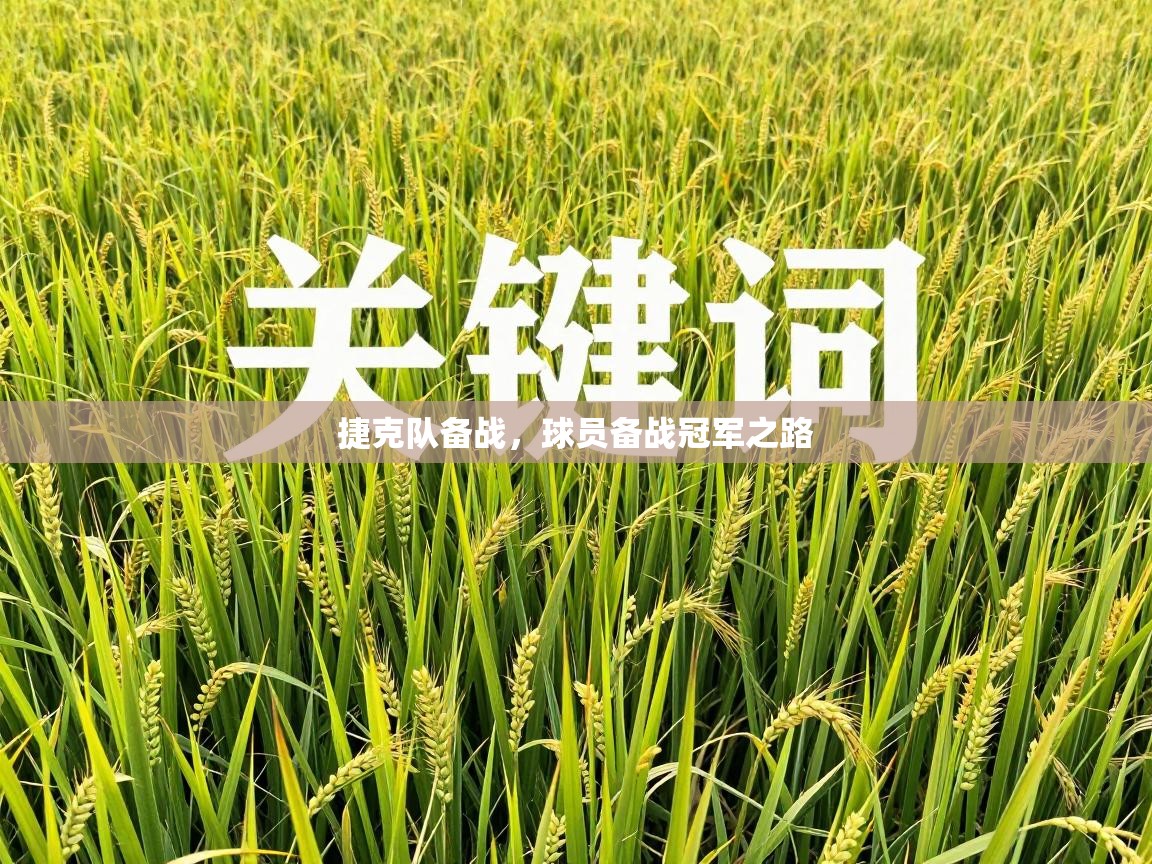 捷克队备战,球员备战冠军之路 第2张