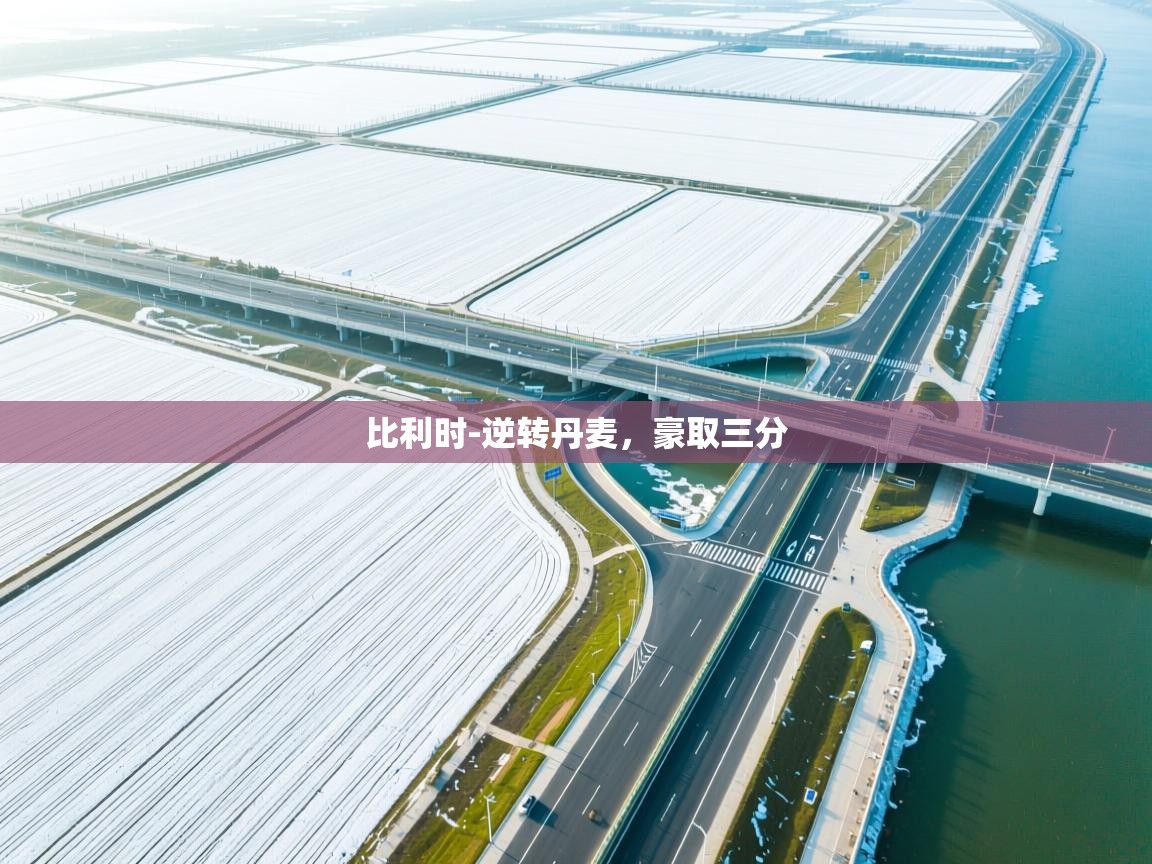 比利时-逆转丹麦，豪取三分  第1张